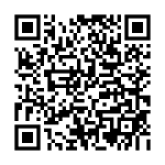 Lazada_shop_qr